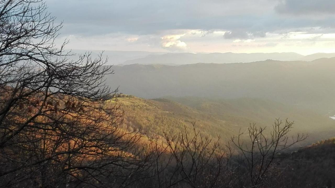 Gite Le Cerisier Via Rhona Dolce Via La Voulte-sur-Rhone ภายนอก รูปภาพ