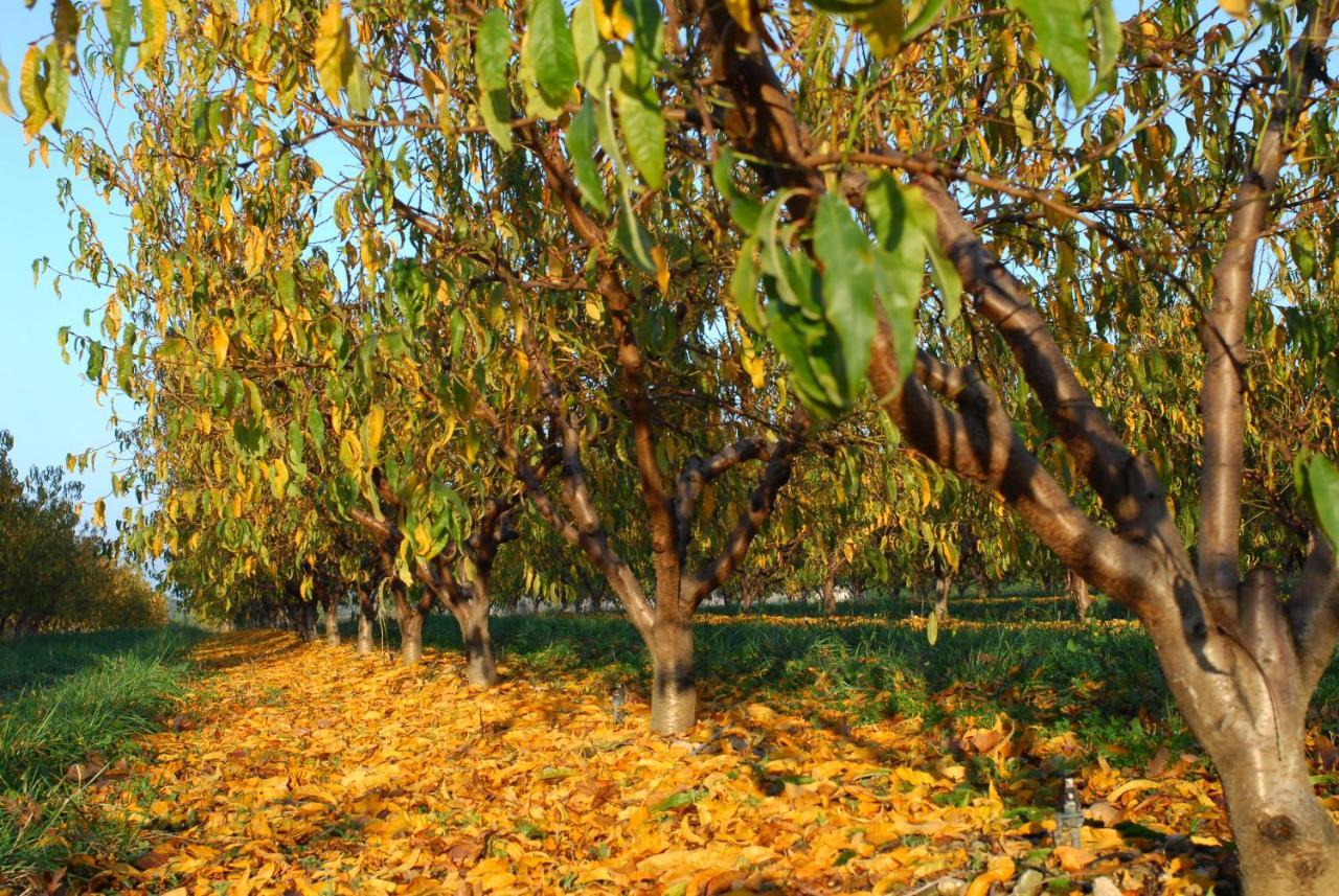 Gite Le Cerisier Via Rhona Dolce Via La Voulte-sur-Rhone ภายนอก รูปภาพ